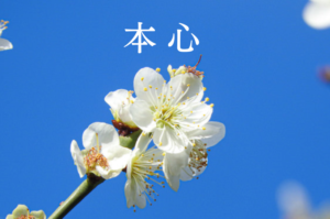 本心／True Self